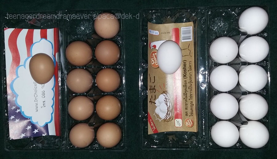รีวิว สิ่งประหลาด &Quot;ไข่ไก่เปลือกสีขาว&Quot; วิ้งงงงค์ม๊ากมาก #ไข่ไก่ |  Dek-D.Com