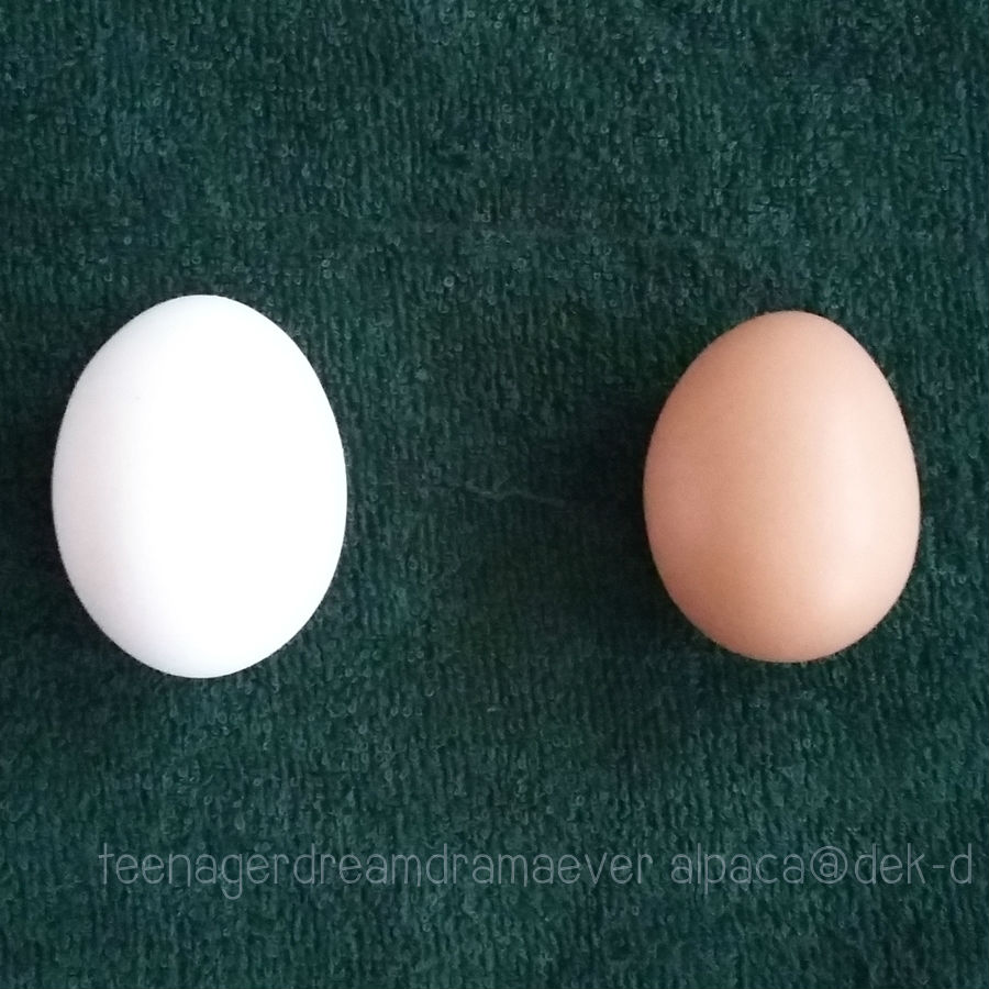 รีวิว สิ่งประหลาด &Quot;ไข่ไก่เปลือกสีขาว&Quot; วิ้งงงงค์ม๊ากมาก #ไข่ไก่ |  Dek-D.Com