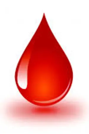 ปกนิยาย THE BLOOD OF MAGIC สายโลหิตแห่งเวทมนตร์