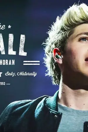 ปกนิยาย Fic Niall Horan 1D ความฝันความจริง