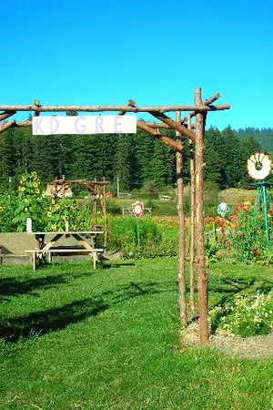 ปกนิยาย The sun:แสงของชนินทร์