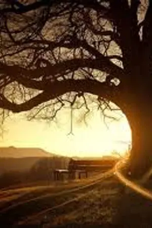 ปกนิยาย แผนร้ายละลายแค้น