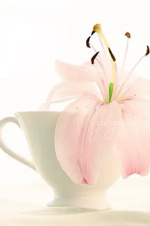 ปกนิยาย 2nd Boyfriend แฟนเบอร์สอง - Lumin Taohun