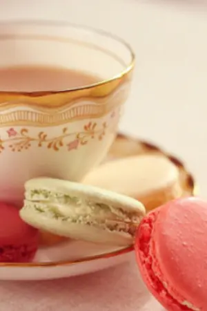 ปกนิยาย รักวุ่นๆของยัยตัวร้าย กับ นายไอดอล