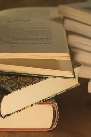 ปกนิยาย THIS IS ALL ABOUT "ข้อมูลเขียนนิยาย"