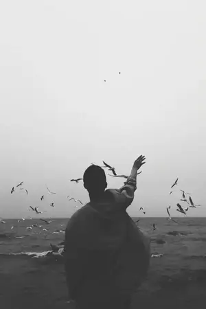 ปกนิยาย Just let it be แค่ปล่อยให้มันเป็นไป