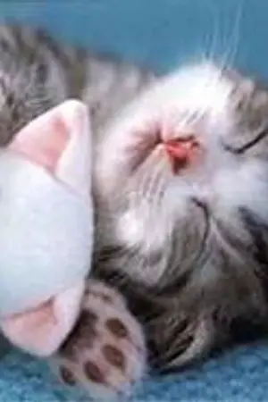 ปกนิยาย รักวุ่นๆของหนุ่มสาวชาวบ้านไร่ ^^