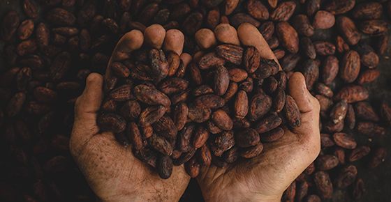 ภาพจาก Freepik.com