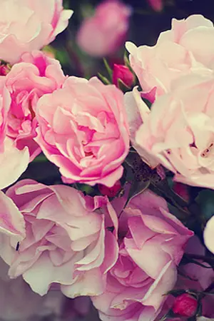 ปกนิยาย [GOT7] :: Love Games (bnior feat. markson,yugbam)