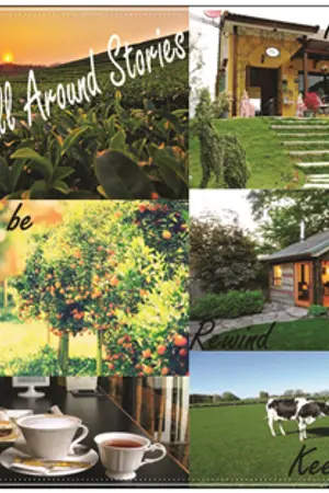 ปกนิยาย EXO Project Love all around stories