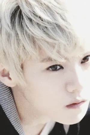 ปกนิยาย Wolf & Vamp [HUNHAN ft.EXO]