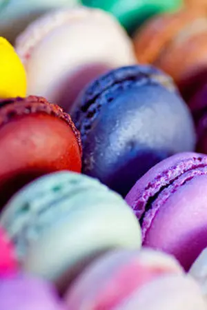 ปกนิยาย FIC [ REBORN] แค้นนี้ไม่มีวันจบ  [6996]