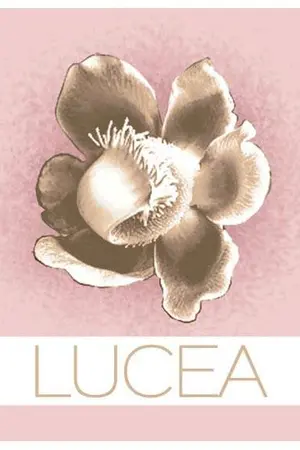 ปกนิยาย [Yaoi] เพลงปีกผีเสื้อ