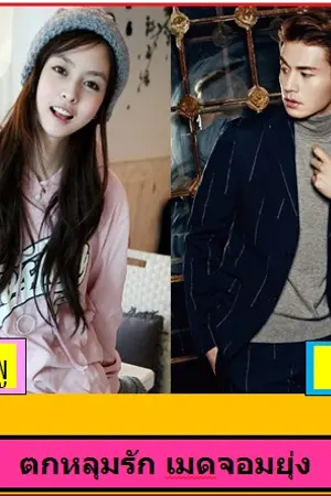 ปกนิยาย ตกหลุมรัก เมดจอมยุ่ง