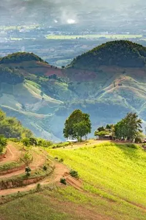 ปกนิยาย ศิลปิน