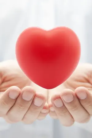 ปกนิยาย ใจเขาใจเรา