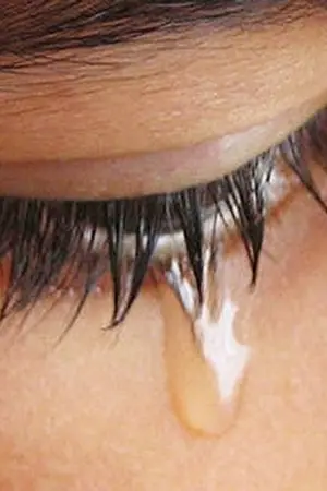 ปกนิยาย พ่ายแพ้อันงดงาม