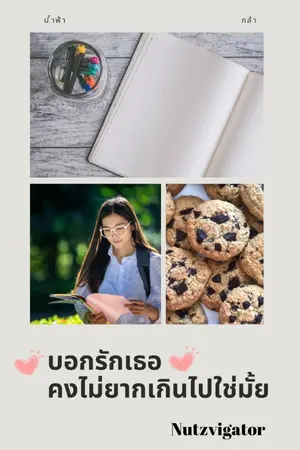 ปกนิยาย