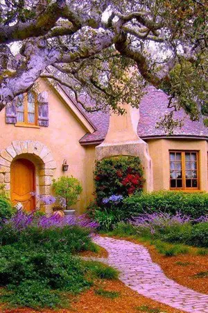 ปกนิยาย promise ฉันจะรักนาย