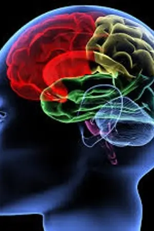 ปกนิยาย Fantasie ถือกำเนิดใหม่ที่ต่างโลก