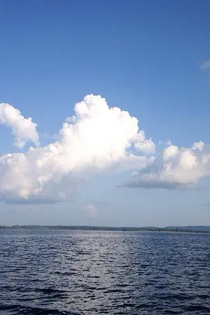 ปกนิยาย mindmate