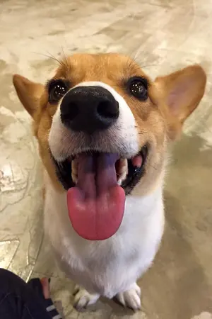 ปกนิยาย (Os / Sf ) TONGFAH Chanbaek .