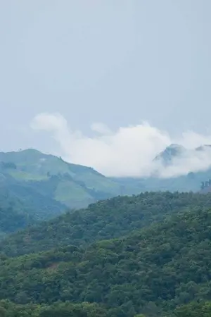 ปกนิยาย สายลมกระซิบรัก