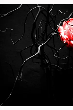 ปกนิยาย It's Your Right สุดหล่อจ๋า..รักเธอได้รึป่าว