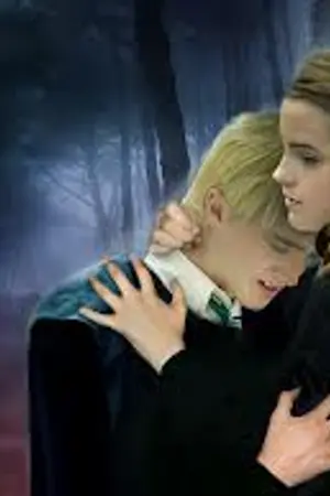 ปกนิยาย Draco~Hermione  ความคิดถึงเมื่อไกลห่าง