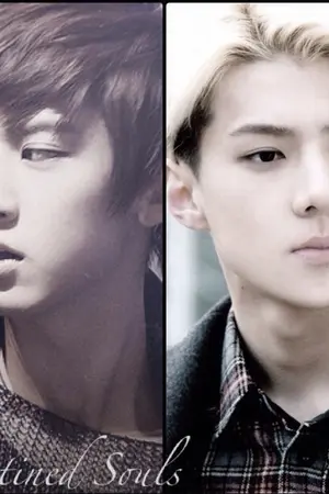 ปกนิยาย Destined Souls