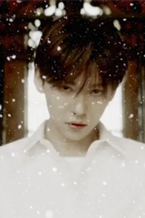 ปกนิยาย [WINNER] P▲RTNER Songkim