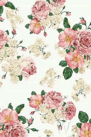 ปกนิยาย ห้องลองโค้ด