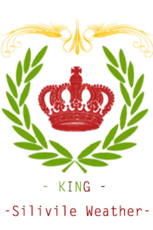 ปกนิยาย สำนักข่าว