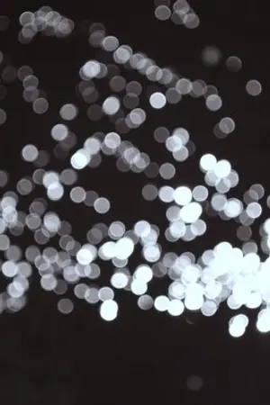 ปกนิยาย ≈ WIND AGE ลมหวนผวนรัก [Yaoi,Boy's Love]