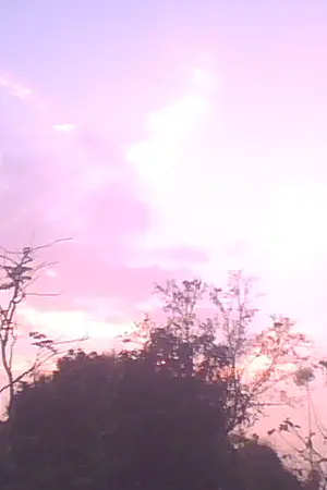 ปกนิยาย ' A M E L I O R A T E เยียวยา [Yaoi,Boy's love]