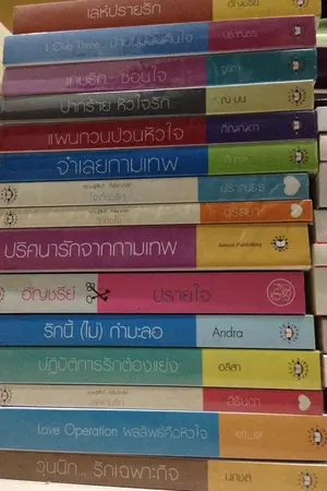 ปกนิยาย ขายหนังสือนิยายมือสอง สภาพดี(อ่านเอง) ราคาไม่แพง ลด40-70%