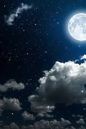 ปกนิยาย Moonlight