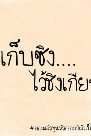 ปกนิยาย