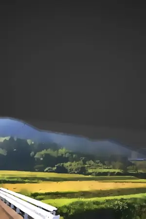 ปกนิยาย สี่เหลียมมรณะ