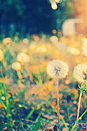 ปกนิยาย SF ของ Phrase in one Sentence.