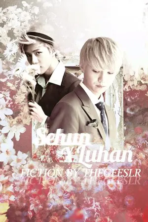 ปกนิยาย เมียจ้าง [HUNHAN FT.CHANBAEK KAISOO]