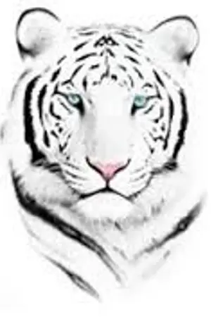 ปกนิยาย King of Burglar ราชาจอมโจร | HUNHAN CHANBAEK