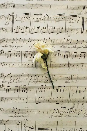 ปกนิยาย Salaryman & Singer