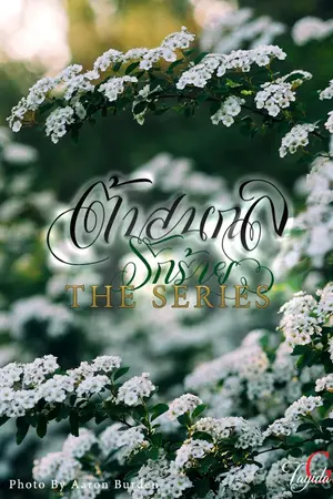 ปกนิยาย ต้นสนกลรักร้าย