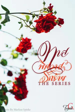 ปกนิยาย ทาสพิศวาสรักร้าย