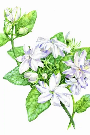 ปกนิยาย BTS x YOU : ถวิลกลิ่นสุคนธ์