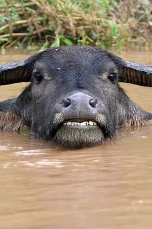 ปกนิยาย [EXO] รักละมุน ที่ทุ่งบ้านดาว (YAOI)