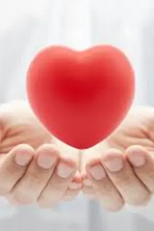 ปกนิยาย The First Love  รักใสใส...วัยอลวน