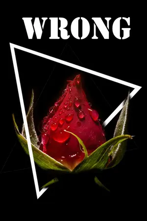 ปกนิยาย [ BTS FIC ] WRONG .......