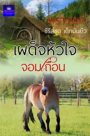 ปกนิยาย